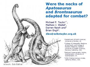 Were the necks of Apatosaurus and Brontosaurus adapted