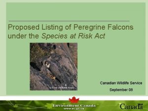 Proposed Listing of Peregrine Falcons under the Species