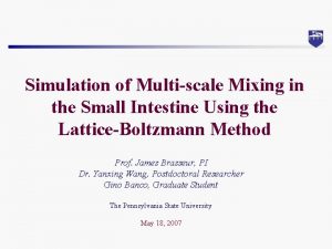 Simulation of Multiscale Mixing in the Small Intestine