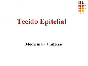 Tecido Epitelial Medicina Unifenas Tecidos estrutura geral Clula