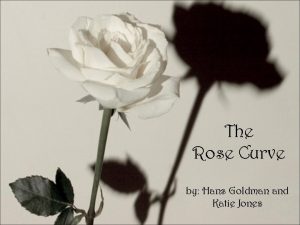 The Rose Curve by Hans Goldman and Katie