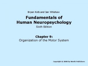 Bryan Kolb and Ian Whishaw Fundamentals of Human