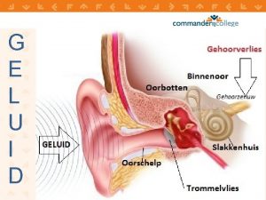 G E L U I D Geluid ontstaat