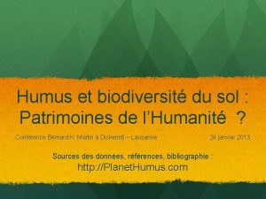 Humus et biodiversit du sol Patrimoines de lHumanit