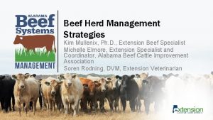 Beef Herd Management Strategies Kim Mullenix Ph D