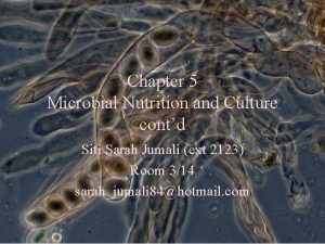 Chapter 5 Microbial Nutrition and Culture contd Siti