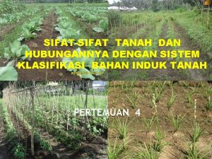 SIFATSIFAT TANAH DAN HUBUNGANNYA DENGAN SISTEM KLASIFIKASI BAHAN