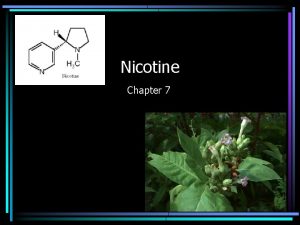 Nicotine Chapter 7 History of Tobacco Nicotine Smoking