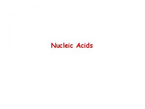 Nucleic Acids Nucleic Acids Are Essential For Information