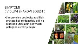 SIMPTOMI VIDLJIVI ZNAKOVI BOLESTI Simptomi su posljedica razliitih