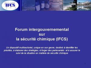 Forum intergouvernemental sur la scurit chimique IFCS Un