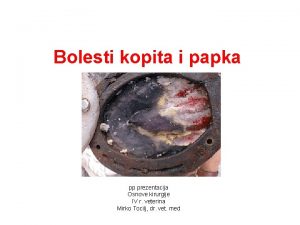 Bolesti kopita i papka pp prezentacija Osnove kirurgije