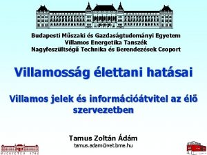 Budapesti Mszaki s Gazdasgtudomnyi Egyetem Villamos Energetika Tanszk