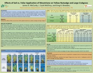 Effects of Soil vs Foliar Application of Mesotrione