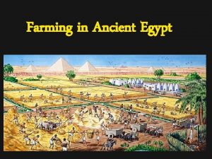 Farming in Ancient Egypt What crops did the