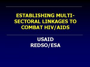 ESTABLISHING MULTISECTORAL LINKAGES TO COMBAT HIVAIDS USAID REDSOESA