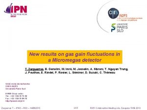 New results on gas gain fluctuations in a