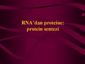 RNAdan proteine protein sentezi Genetik Kod Protein yapsna