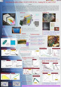 Test Beam Results of the CALICE Si W