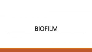 BIOFILM CONCEPTO Las biopelicula son comunidades de microorganismos