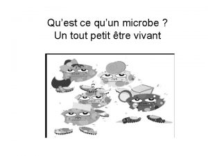 Quest ce quun microbe Un tout petit tre