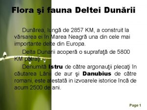 Flora i fauna Deltei Dunrii Dunrea lung de