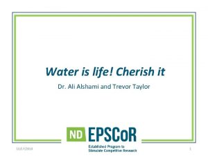 Water is life Cherish it Dr Ali Alshami