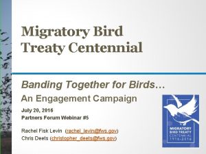 Migratory Bird Treaty Centennial Banding Together for Birds