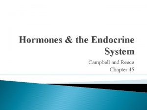 Hormones the Endocrine System Campbell and Reece Chapter