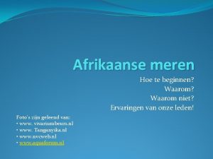 Afrikaanse meren Hoe te beginnen Waarom niet Ervaringen