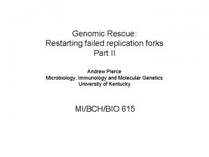 Genomic Rescue Restarting failed replication forks Part II