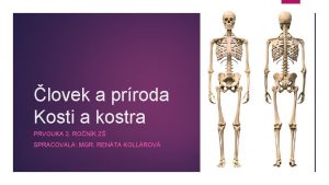 lovek a prroda Kosti a kostra PRVOUKA 2