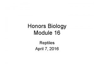 Honors Biology Module 16 Reptiles April 7 2016