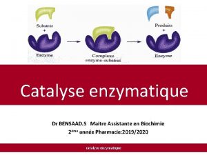 Catalyse enzymatique Dr BENSAAD S Maitre Assistante en