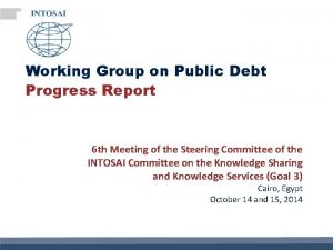 Working Group on Public Debt Progress Report 6