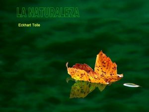 Eckhart Tolle Dependemos de la naturaleza no solo