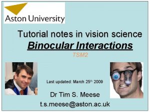 Tutorial notes in vision science Binocular Interactions TSM