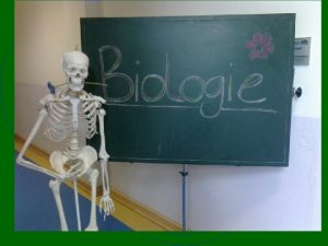 Du mchtest Biologie whlen Im Biologiekurs gilt wie