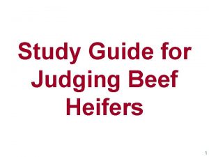 Study Guide for Judging Beef Heifers 1 Keys