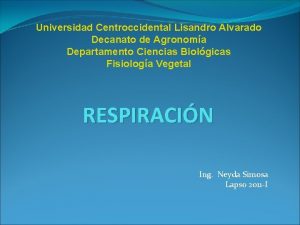 Universidad Centroccidental Lisandro Alvarado Decanato de Agronoma Departamento