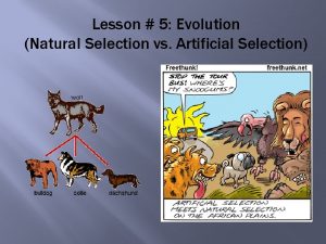 Lesson 5 Evolution Natural Selection vs Artificial Selection