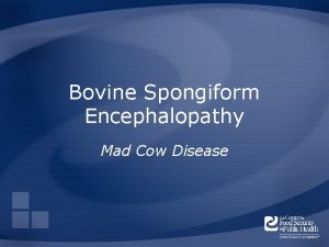 Bovine Spongiform Encephalopathy Mad Cow Disease Overview Organism