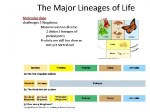 The Major Lineages of Life Molecular data challenges