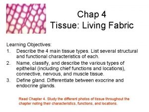 Chap 4 Tissue Living Fabric Learning Objectives 1