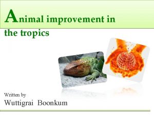 Animal improvement in the tropics Written by Wuttigrai