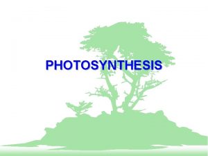 PHOTOSYNTHESIS Engage Essential Question Explain Engage F List