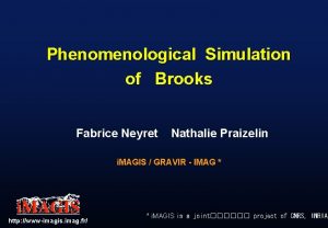 Phenomenological Simulation of Brooks Fabrice Neyret Nathalie Praizelin