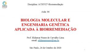 Disciplina ACH 5527 Biorremediao Aula 06 BIOLOGIA MOLECULAR