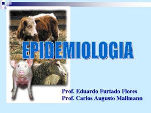 Prof Eduardo Furtado Flores Prof Carlos Augusto Mallmann