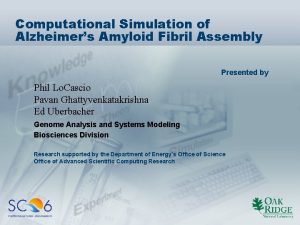 Computational Simulation of Alzheimers Amyloid Fibril Assembly Presented